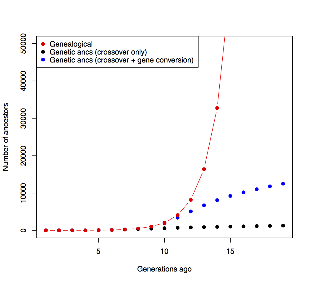 graph shows an exponential rise of genealogical ancestors as we go back and also genetic ancestors, being a flat line without crossover events and a shallow S curve taking them into account