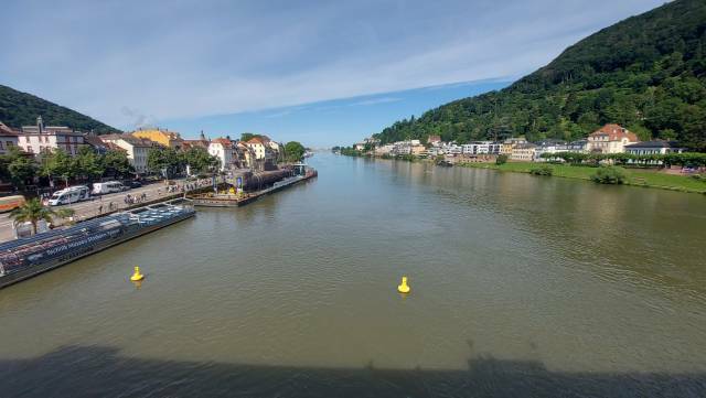 Heidelberg, Blick von der Alten Brücke Neckarabwärts