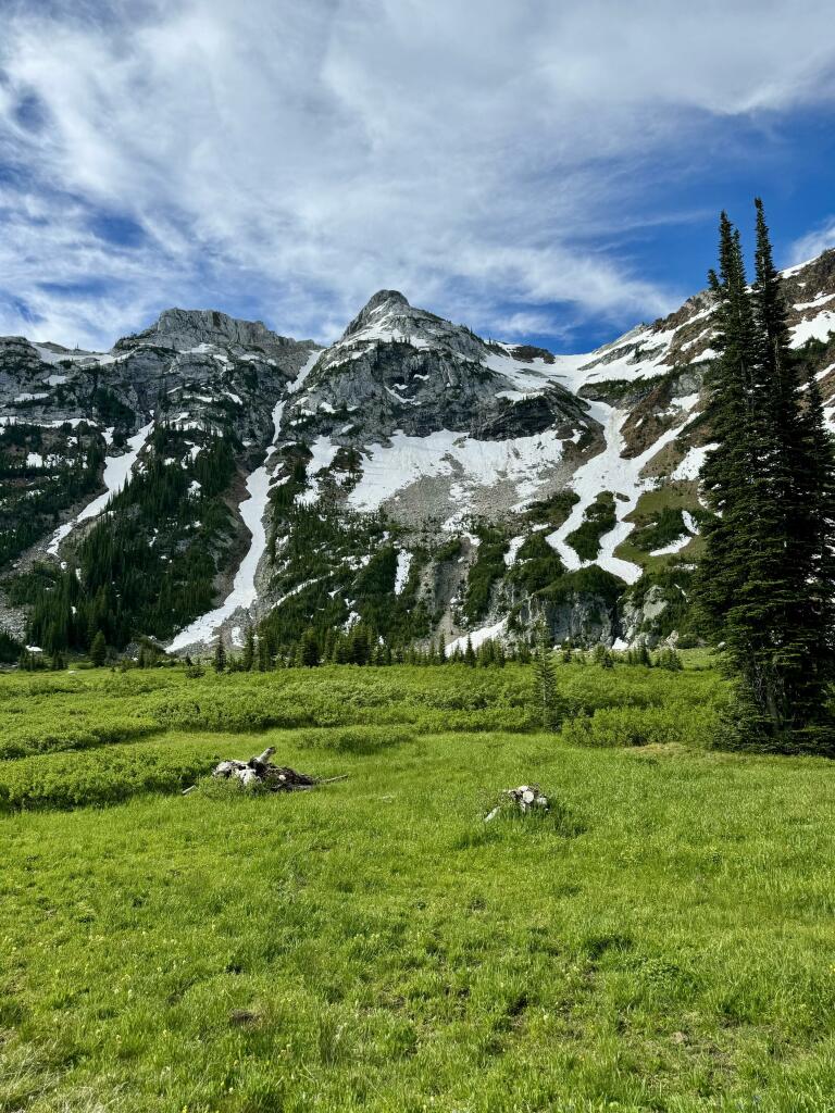 Cusick Mountain towers over an alpine meadow in the Eagle Cap Wilderness. The meadow is covered in lush green grasses, shrubs, and fir trees. Cusick and a couple surrounding mountains have some patches of snow on them. Blue skies with some light gray clouds. Photo taken July 6, 2024, in the Wallowa Mountains in the U.S. state of Oregon.