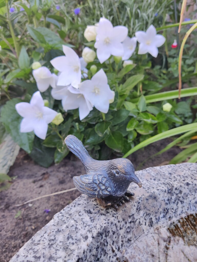 Kleiner Vogel aus Metall sitzt auf dem Rand der Vogeltränke, im Hi weiße Glockenblume 