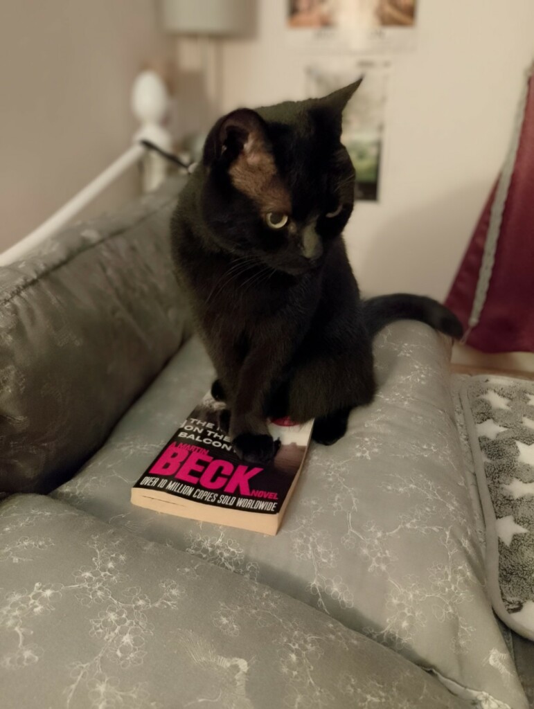 A black cat sitting on a grey pillow on a bed, to her right is the white metal bed head and behind her is a silver and grey lamp. Her front paws are resting on a paperback book, The Man On The Balcony by Maj Sjöwall and Per Wahlöö. The cat has yellow eyes and is looking off slightly to the right of the camera.