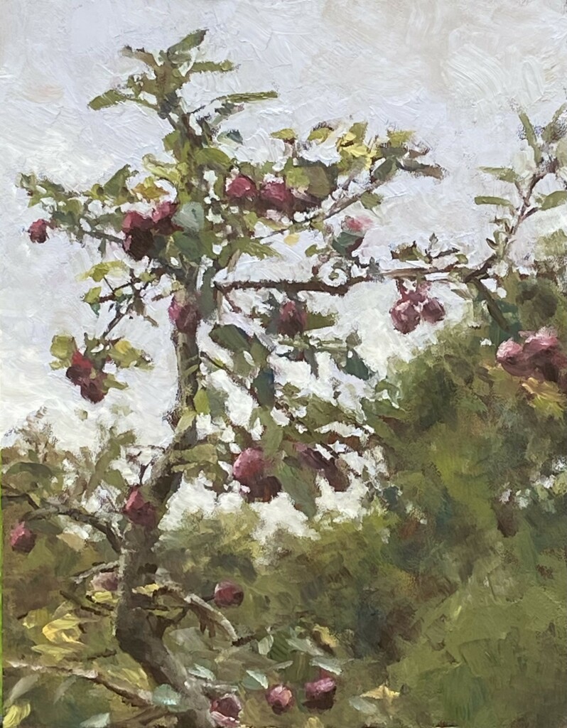 Plain air Oilpainting of an apple tree. It’s kept relatively loose in brushstrokes and the fruit are ripe and deep purple.