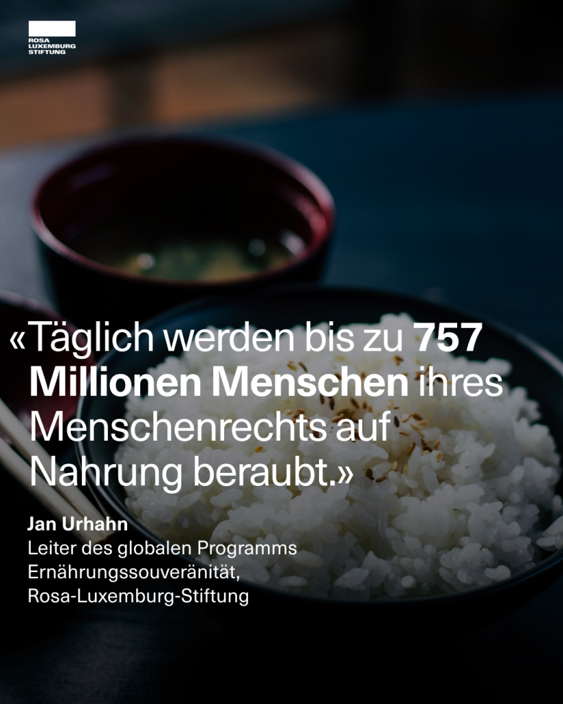 Sharepic mit einer Schüssel Reis und dem Zitat: "Täglich werden bis zu 757 Millionen Menschen ihres Menschenrechts auf Nahrung beraubt. - Jan Urhahn, Leiter des globalen Programms Ernährungssouveränität, Rosa-Luxemburg-Stiftung".