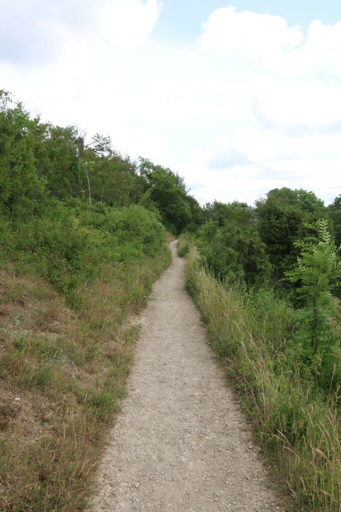 Foto im Hochformat. Ein ungeteerter schmaler Weg führt leicht ansteigend durch eine Landschaft. Links davon geht es steil nach oben, rechts entsprechend abwärts. Neben dem Weg wachsen Gräser, Bäume und Sträucher.