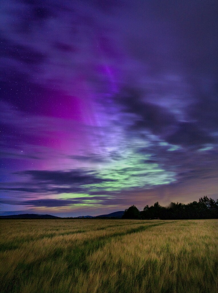 An image of the Aurora Borealis, or Northern Lights, as seen above a field of barley. Aberdeenshire, North East Scotland