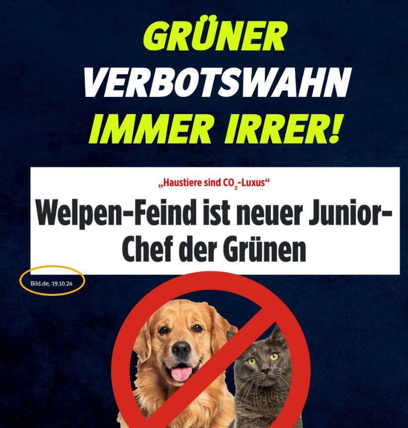 Screenshot eines grafisch grellen und auffälligen Zeitungsartikel-Aufmachers: "Grüner Verbotswahn - immer irrer! Haustiere sind CO2-Luxux. Welpen-Feind ist neuer Junior-Chef der Grünen." Darunter ein Bild von einem Hund und einer Katze, hinter einem "Verboten"-Verkehrsschild. Der Screenshot stammt aus der Online-Ausgabe von BILD vom 19.10.2024.