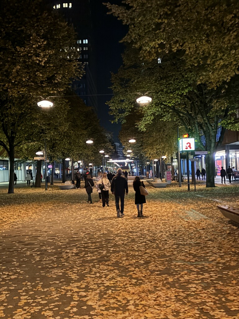 Das Foto zeigt eine nächtliche, von Bäumen gesäumte Allee. Der Boden ist mit Herbstlaub bedeckt, und die Straßenlaternen beleuchten die Szene. Einige Personen gehen auf dem Weg entlang, die meisten in Richtung des Betrachters. Gebäude und Geschäfte flankieren die Allee, und die Straßenbeleuchtung verstärkt die gemütliche Abendstimmung.