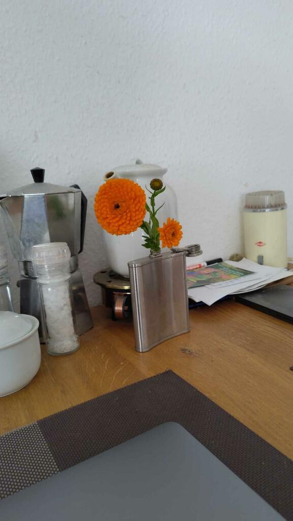 Ein Flachmann (Metall) mit Blumen (Blüten orange) vom Feld. Sonst Küchentischgedöns. Kaffeekannen, Mixer, Salzmühle.