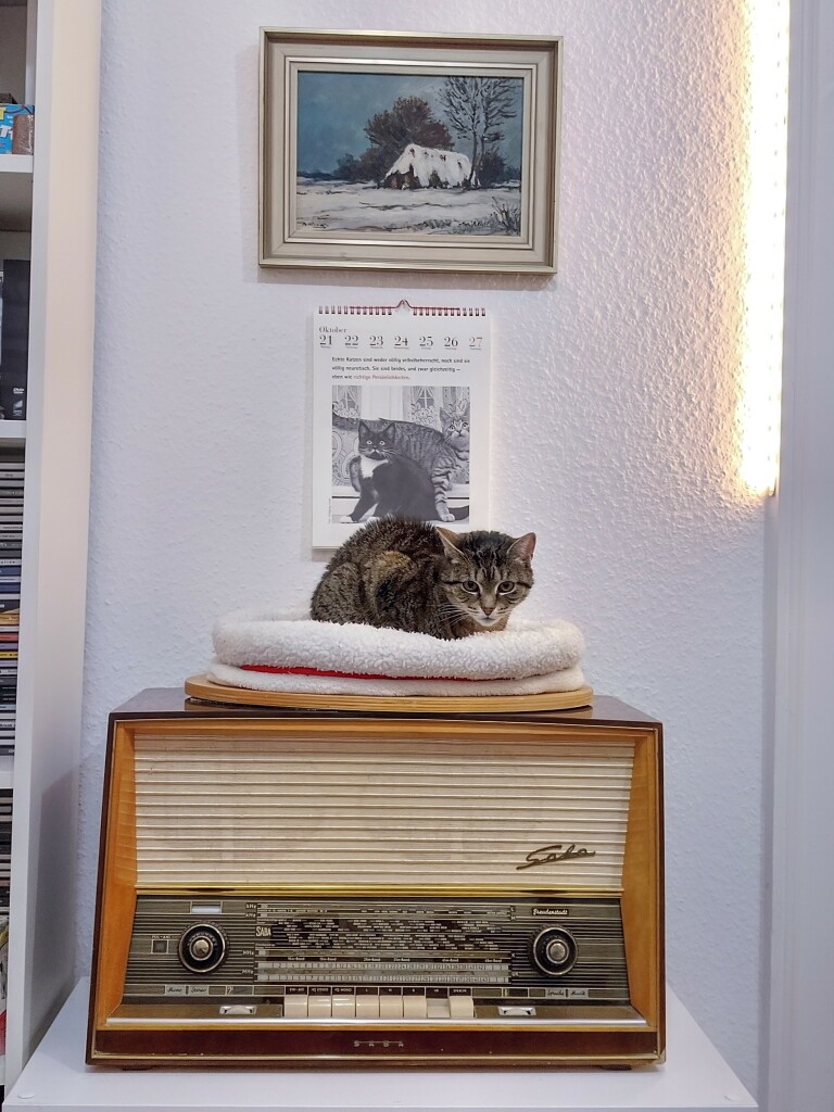 Tigerkatze auf Röhrenradio. Im Hintergrund Kalender und kleines Ölgemälde mit einem schneebedeckten Kotten.