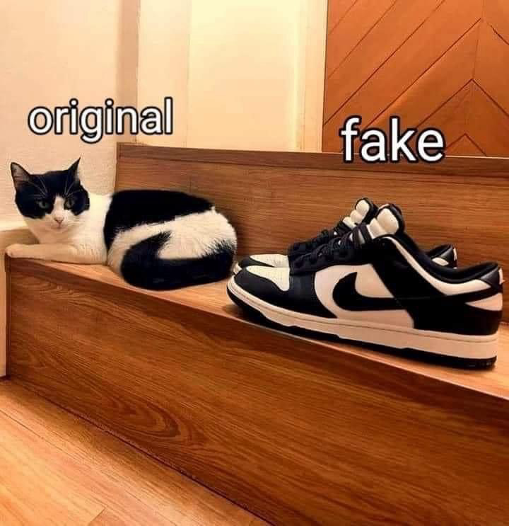 (A cat) original (…looking just like a pair of Nike’s) fake