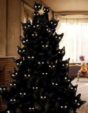 photo shopped image of dozens of black cats stacked like a xmas tree with a star on top