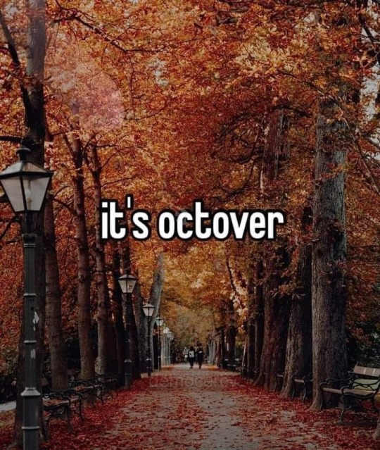 an image with the text "it's octover" with a bunch of trees in the background