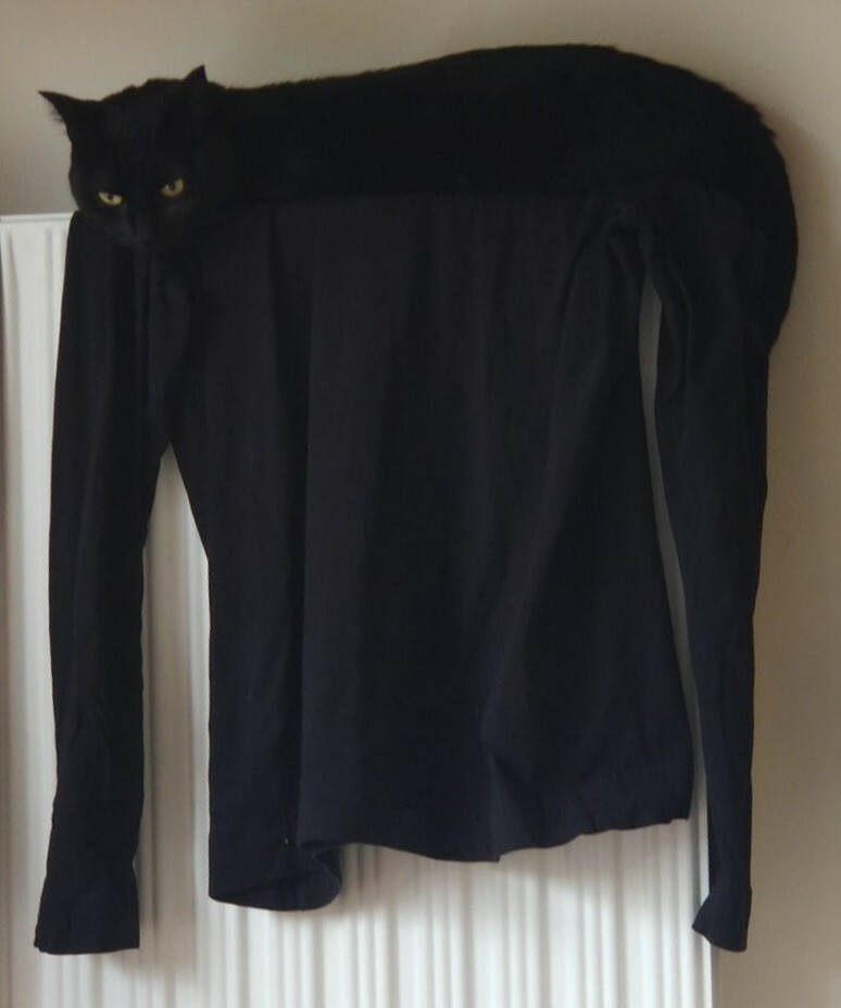 Chazerty couchée sur un t-shirt à manches longues lui même posé sur un radiateur. Les deux étant noirs on les confonds et on dirait que c'est un seul objet étrange, un pull à col chat, ou un chat pendouillant.