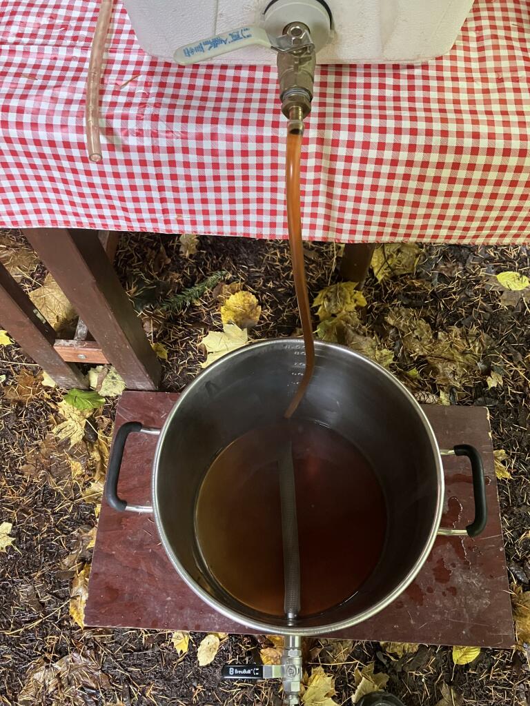 Brown ale wort coming through a clear hose into an 8 gallon brew kettle