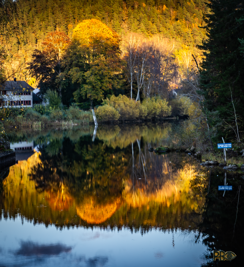 The fir-clad hill in the background is decorated in yellow autumnal clothing by the low afternoon sun. Also a cluster of large deciduous trees just down by the water on the opposite side. All reflected in the canal's dark water. So does the sky above the hill. On the right, just down by the water, there is a blue sign warning passing boats that the maximum speed in this part of the Telemark Canal is five knots.