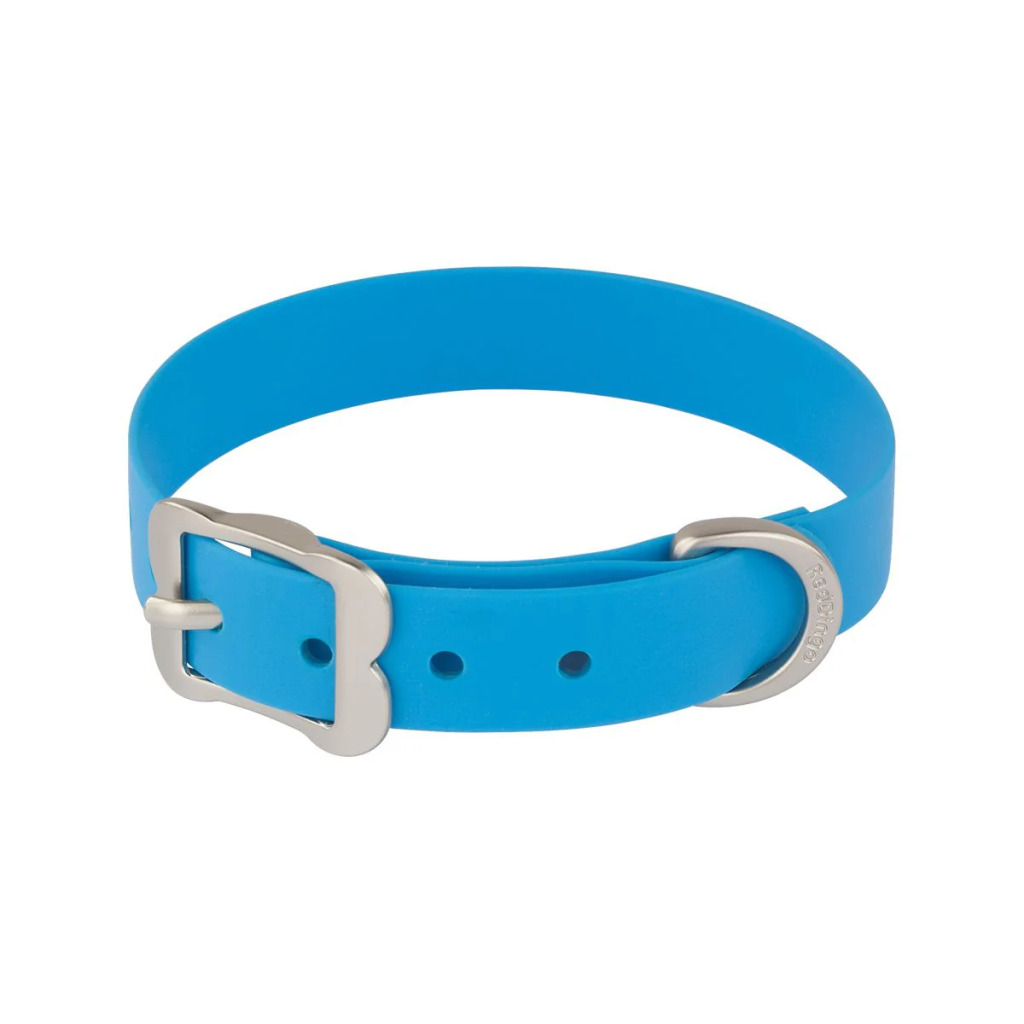 a blue dog collar