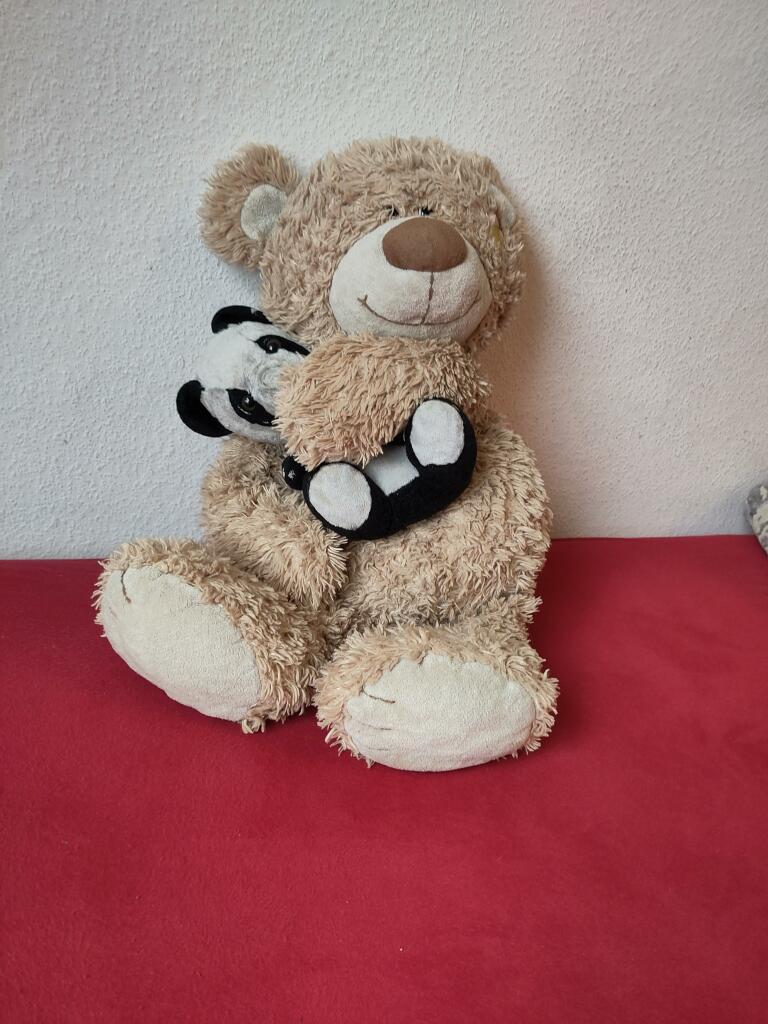 Ich umarme einen kleineren Pandabären. Wir sind beide glücklich, weil umarmen uns glücklich macht 🐻