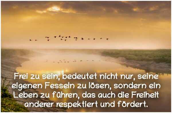 Bildbeschreibung:
Ein Schwarm Vögel fliegt vor orangefarbenen Himmel über einen See. Unten auf dem Foto ein Zitat des südafrikanischen Freiheitskämpfers gegen Unterdrückung und soziale Ungerechtigkeit, Nelson Mandela.