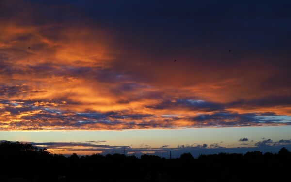 Foto Richtung WNW. Eine dicke Wolkenbank wird von der untergegangenen Sonne rot angestrahlt.
Vor den roten Wolken die unscharfen Silhouetten von drei Mauerseglern. (Ich hatte auf unendlich fokussiert). Unter den Wolken ein schmaler wolkenloser Streifen über einer schwarzen Baumreihe.