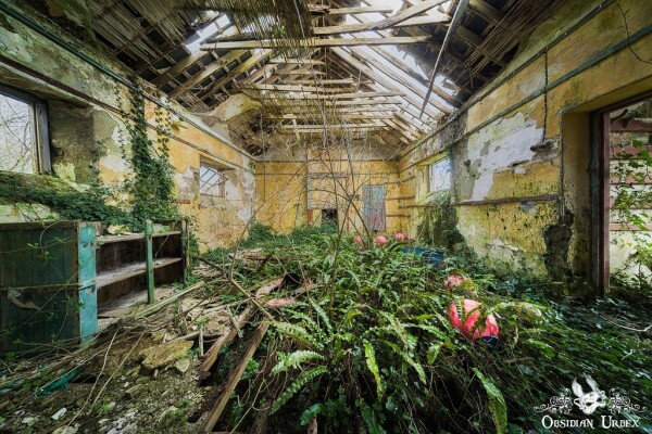 abandoned building in ruins. yellow walls and collapsing roof, the floor is covered with ferns