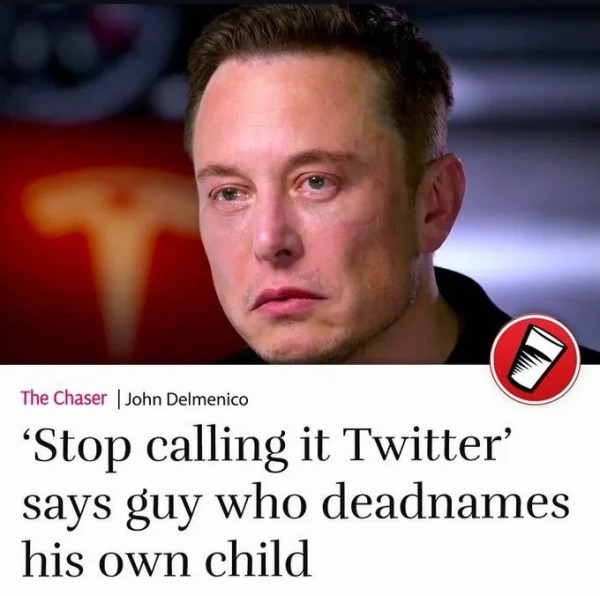 A screenshot of a news headline showing the picture of a crying Elon Musk saying “Stop calling it Twitter, says guy who deadnames his own child” by “John Delmenico” from “The Chaser”.