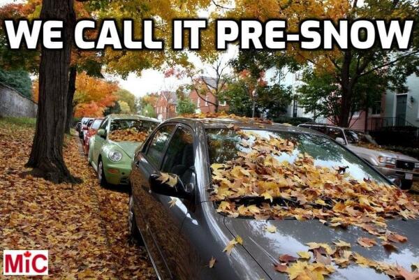 Image of autumn leaves on the ground and parked cars with caption:
We call it pre-snow