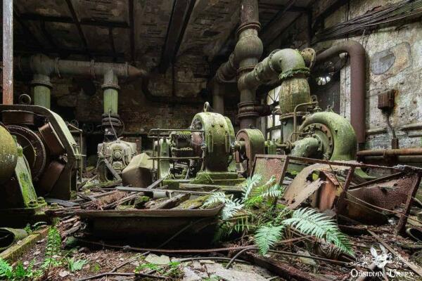 abandoned rusty machines with ferns