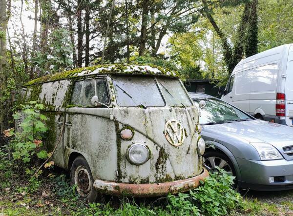 völlig mit Moos überwachsener VW-Bus in einer Parklücke neben einem sauberen Auto. 