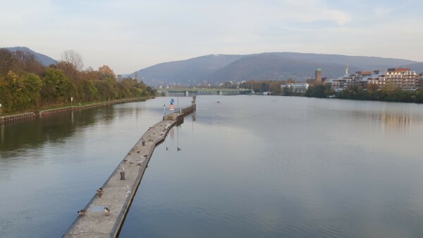 Blick vom Wieblinger Wehr auf Heidelberg