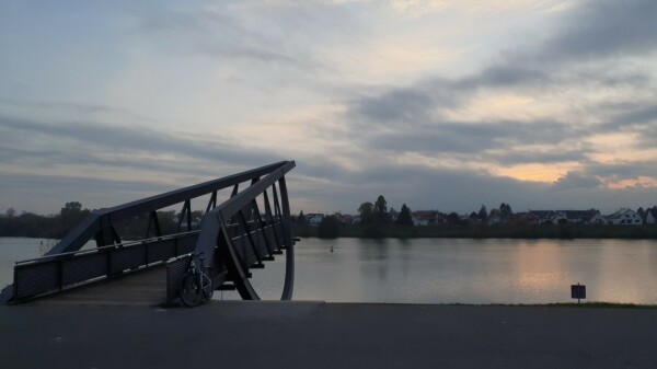 Blick auf den Steg und Neckar in Ladenburg