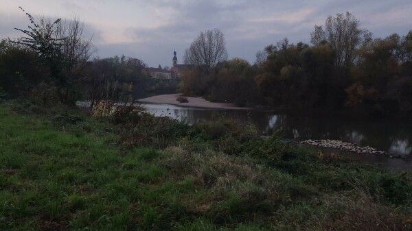 Neckar bei Seckenheim