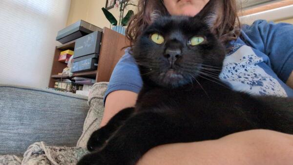 A black cat with large green eyes lays drapes over the arm of his human.  He has both paws rested on her and appears relaxed, as his pupils are slits.