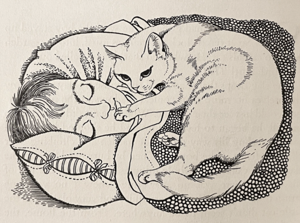 Ink drawing of a shorthaired white cat lying on a blanket on a sleeping boy's chest, gently tapping the boy's mouth with its paw. The boy continues snoozing on his pillow.